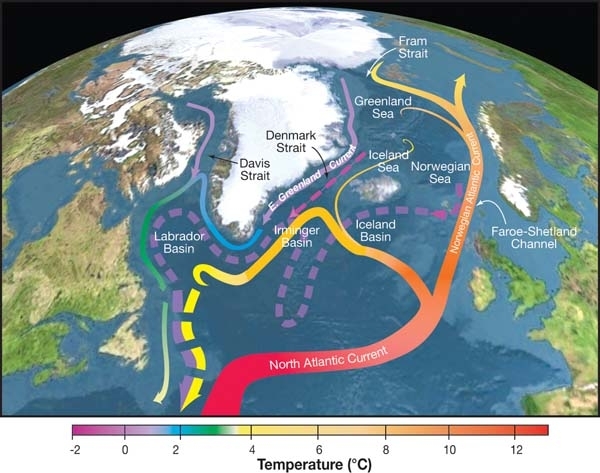 Atlantic Meridional Overturning Circulation: colored arrows show warm surface water (red/orange) flowing north and cold deep water (blue/purple) returning south through the North Atlantic basins